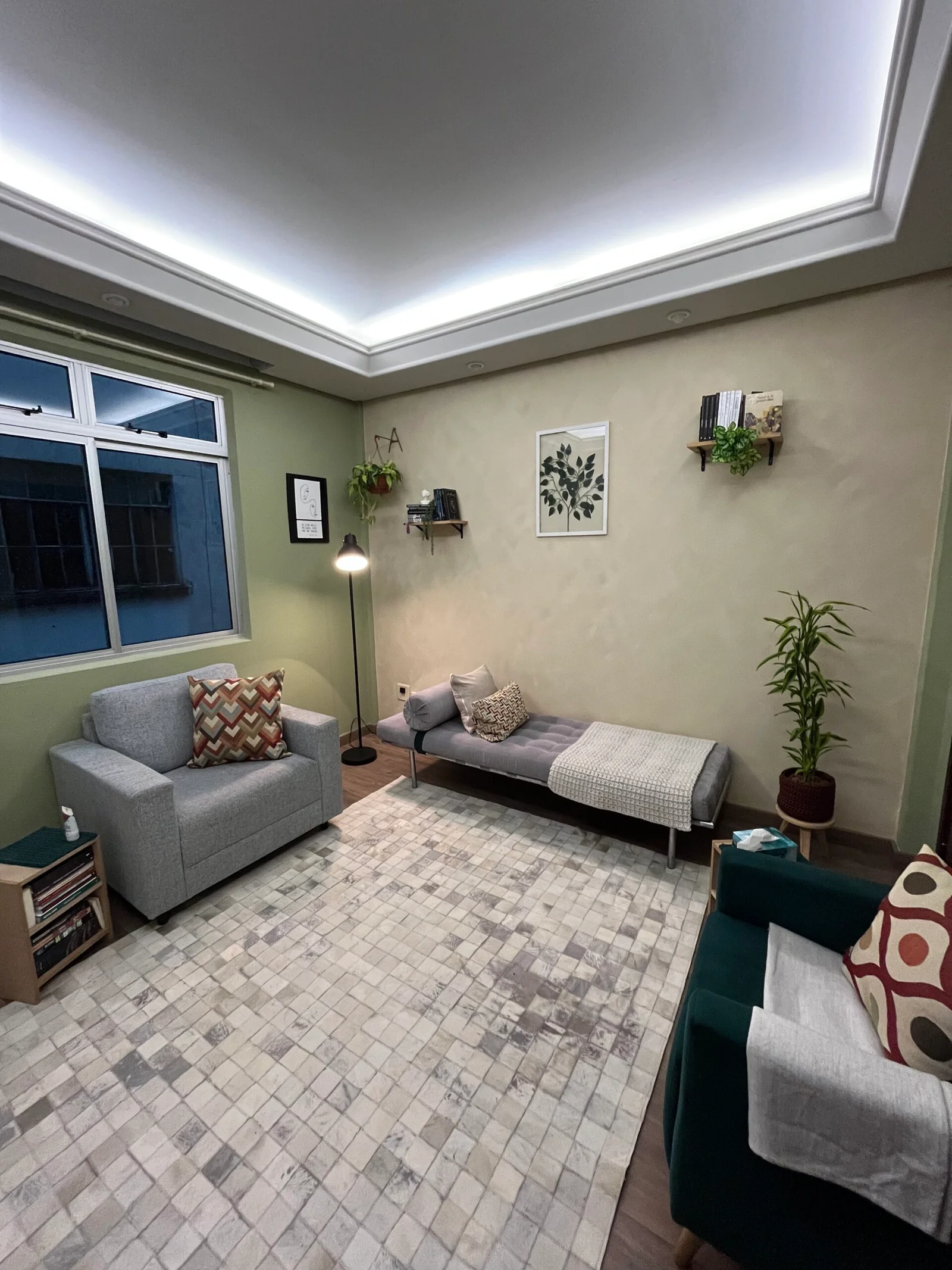 Sala de atendimento, com divã, poltronas e plantas